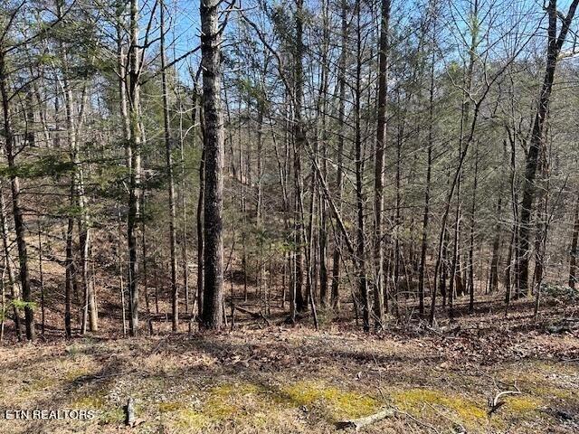 0 Laurel Trace Rd, Townsend, TN 37882