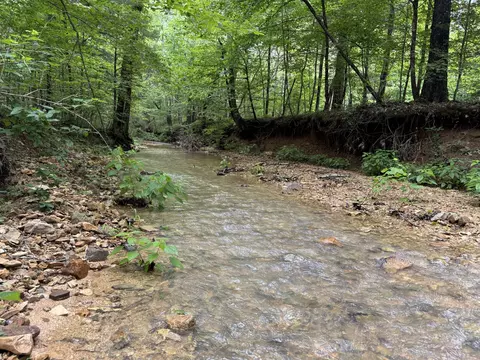 Other - 0 Brushy Rd, Centerville, TN 37033 photo 18 of 30