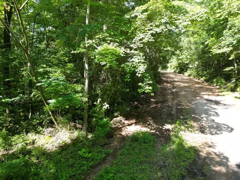 Other - 0 Brushy Rd, Centerville, TN 37033 photo 11 of 30