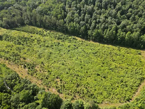 Other - 0 Brushy Rd, Centerville, TN 37033 photo 2 of 30