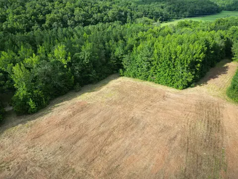 Other - 0 Brushy Rd, Centerville, TN 37033 photo 26 of 30