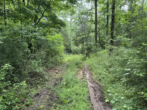 Exterior - 0 Brushy Rd, Centerville, TN 37033 photo 2 of 7