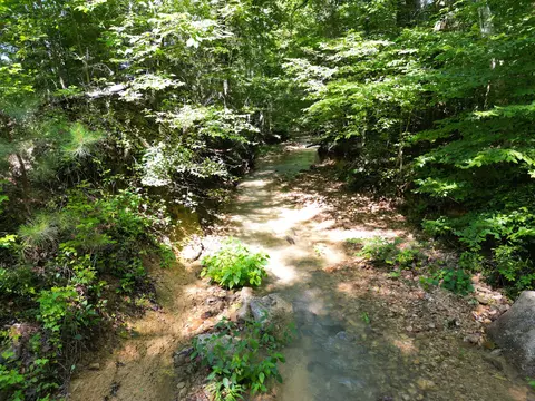 Other - 0 Brushy Rd, Centerville, TN 37033 photo 4 of 30