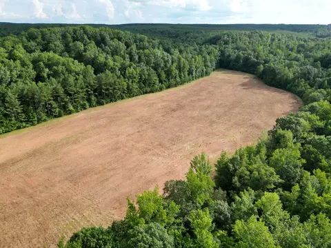 Other - 0 Brushy Rd, Centerville, TN 37033 photo 24 of 30