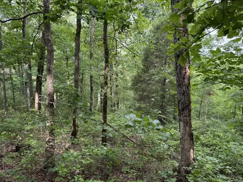 Exterior - 0 Brushy Rd, Centerville, TN 37033 photo 5 of 7