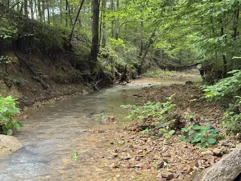 View/Area - 0 Brushy Rd, Centerville, TN 37033 photo 12 of 12