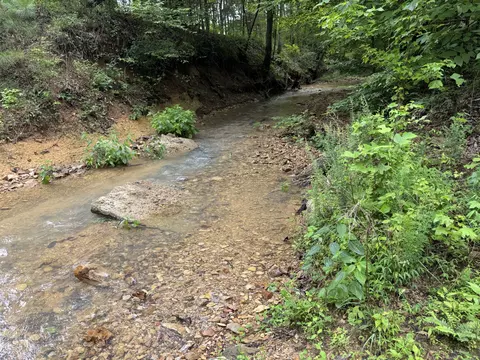 Other - 0 Brushy Rd, Centerville, TN 37033 photo 13 of 30