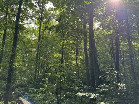 Other - 0 Brushy Rd, Centerville, TN 37033 photo 20 of 30
