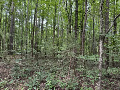 Exterior - 0 Brushy Rd, Centerville, TN 37033 photo 7 of 7