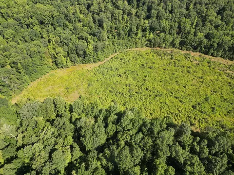 View/Area - 0 Brushy Rd, Centerville, TN 37033 photo 6 of 12