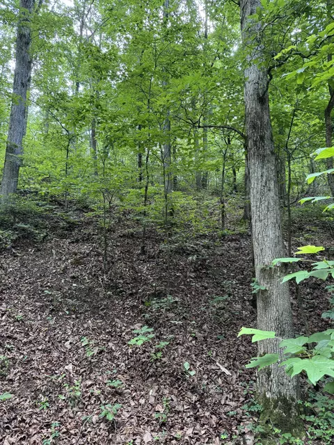 Other - 0 Brushy Rd, Centerville, TN 37033 photo 19 of 30