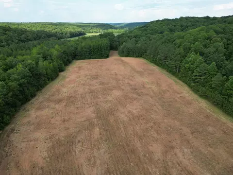 Other - 0 Brushy Rd, Centerville, TN 37033 photo 29 of 30