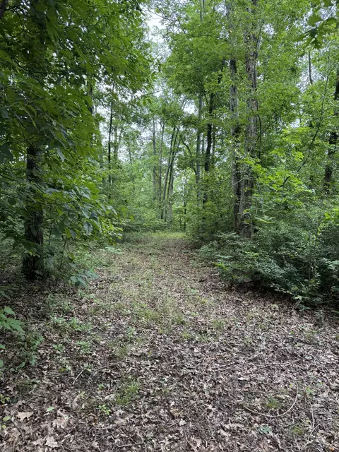 Other - 0 Brushy Rd, Centerville, TN 37033 photo 17 of 30