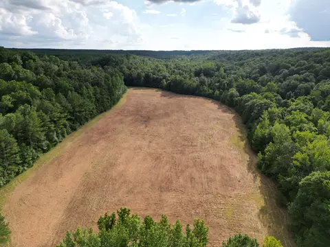 Other - 0 Brushy Rd, Centerville, TN 37033 photo 25 of 30