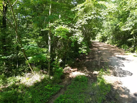 Other - 0 Brushy Rd, Centerville, TN 37033 photo 10 of 30