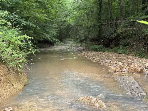 View/Area - 0 Brushy Rd, Centerville, TN 37033 photo 11 of 12