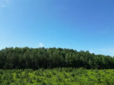 Other - 0 Brushy Rd, Centerville, TN 37033 photo 8 of 30