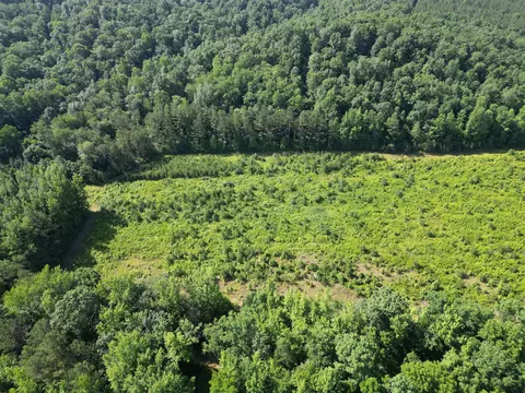 0 Brushy Rd, Centerville, TN 37033