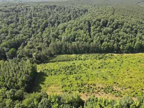 View/Area - 0 Brushy Rd, Centerville, TN 37033 photo 3 of 12