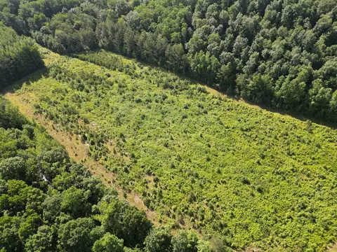 View/Area - 0 Brushy Rd, Centerville, TN 37033 photo 4 of 12