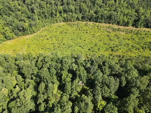 View/Area - 0 Brushy Rd, Centerville, TN 37033 photo 7 of 12