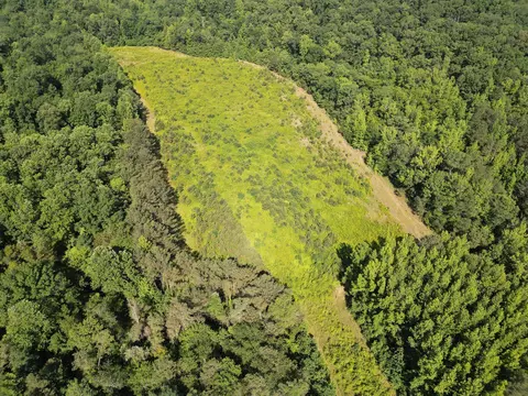 View/Area - 0 Brushy Rd, Centerville, TN 37033 photo 9 of 12