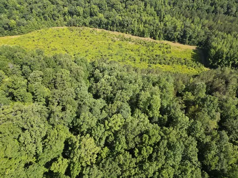 View/Area - 0 Brushy Rd, Centerville, TN 37033 photo 8 of 12