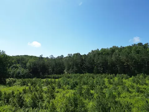 Other - 0 Brushy Rd, Centerville, TN 37033 photo 6 of 30