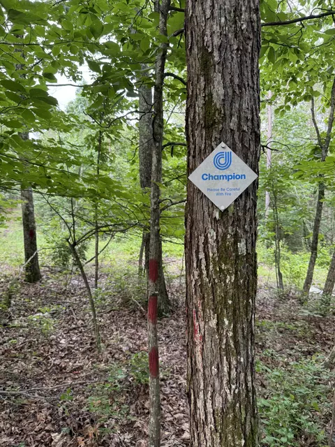 Other - 0 Brushy Rd, Centerville, TN 37033 photo 16 of 30