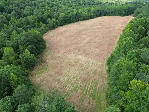 Other - 0 Brushy Rd, Centerville, TN 37033 photo 28 of 30
