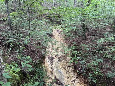 Other - 0 Brushy Rd, Centerville, TN 37033 photo 15 of 30