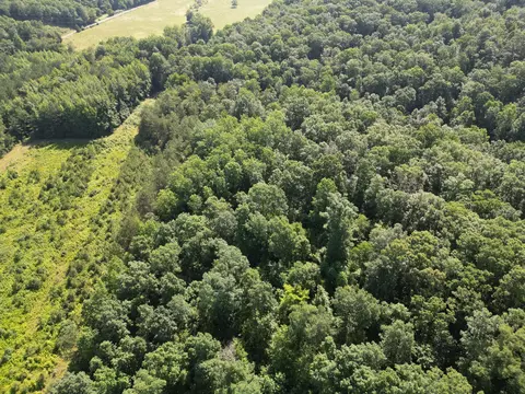 View/Area - 0 Brushy Rd, Centerville, TN 37033 photo 5 of 12