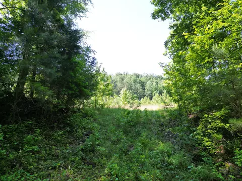Exterior - 0 Brushy Rd, Centerville, TN 37033 photo 1 of 7