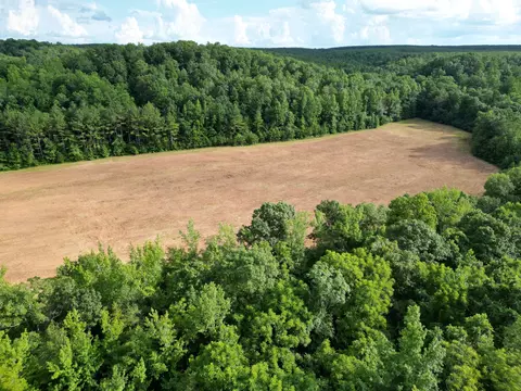 Other - 0 Brushy Rd, Centerville, TN 37033 photo 23 of 30