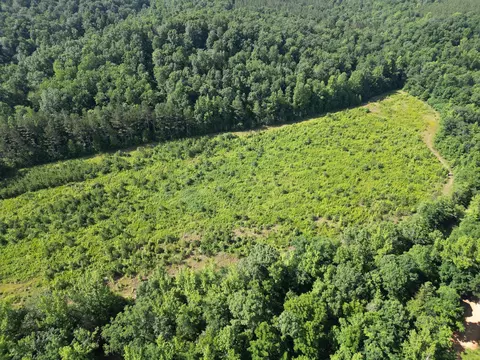 View/Area - 0 Brushy Rd, Centerville, TN 37033 photo 2 of 12