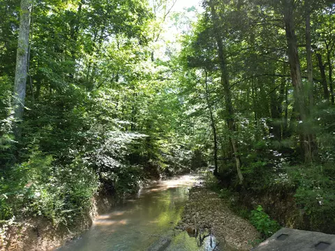Other - 0 Brushy Rd, Centerville, TN 37033 photo 5 of 30
