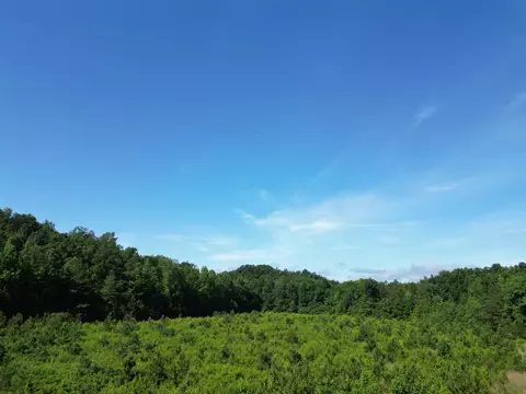 Other - 0 Brushy Rd, Centerville, TN 37033 photo 9 of 30