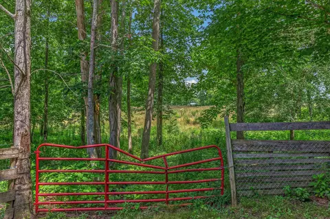 5347 Shady Grove Rd, Morrison, TN 37357 photo 57