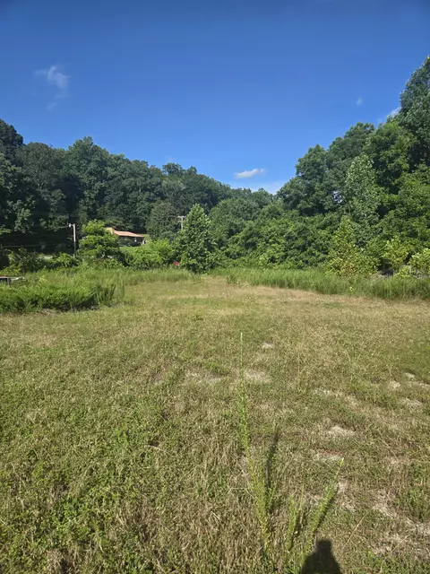 7314 Highway 13, Erin, TN 37061 photo 17