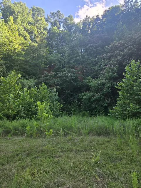 7314 Highway 13, Erin, TN 37061 photo 14