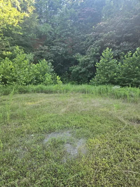 7314 Highway 13, Erin, TN 37061 photo 16