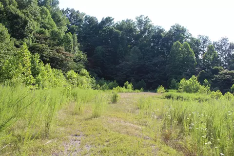 7314 Highway 13, Erin, TN 37061 photo 6