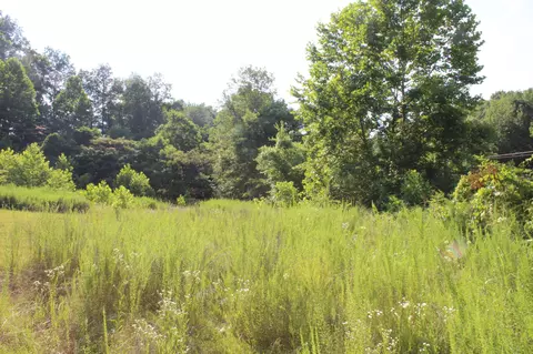 7314 Highway 13, Erin, TN 37061 photo 8