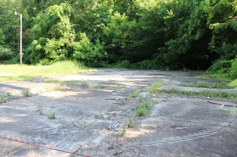 7314 Highway 13, Erin, TN 37061 photo 3