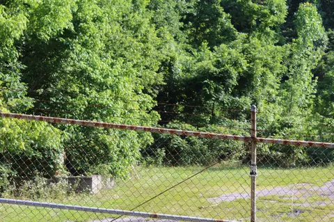 7314 Highway 13, Erin, TN 37061 photo 11