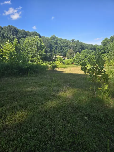 7314 Highway 13, Erin, TN 37061 photo 15