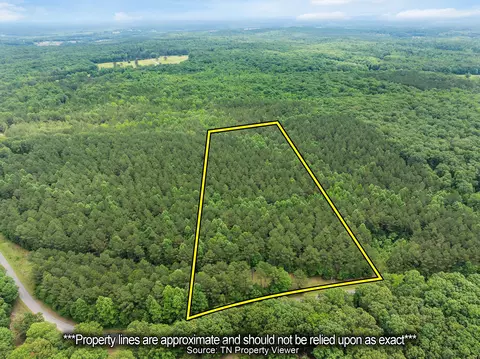 0 Cash School Rd, Enville, TN 38332