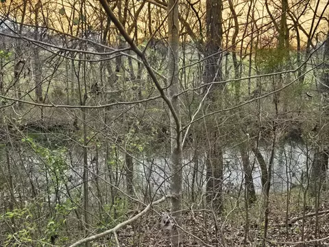 View/Area - 6579 Vervilla Rd, Morrison, TN 37357 photo 3 of 3