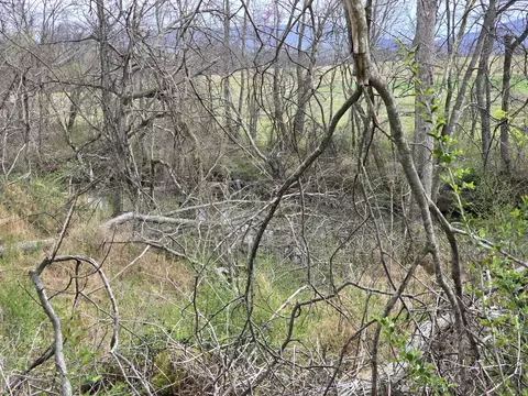 Other - 6579 Vervilla Rd, Morrison, TN 37357 photo 24 of 24