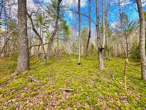 144 Gunter Place Pl, Sunbright, TN 37872